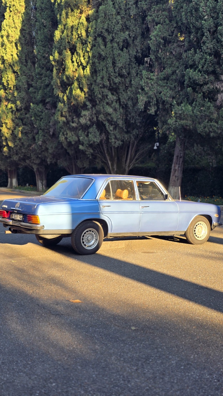Mercedes-Benz W115 classic view