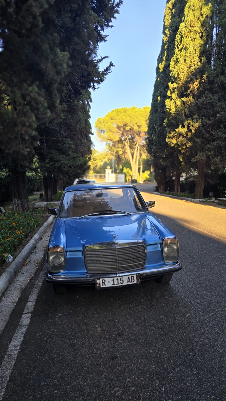 Mercedes-Benz W115 on the road